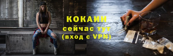 твердый Пересвет