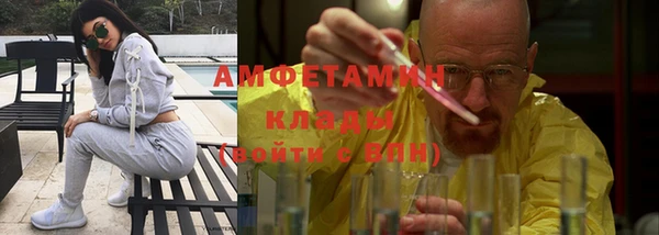 твердый Пересвет