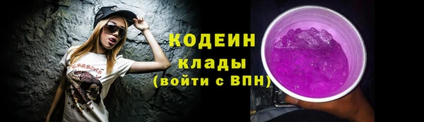 2c-b Пестово