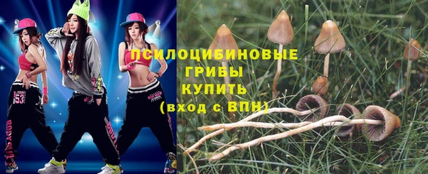 твердый Пересвет
