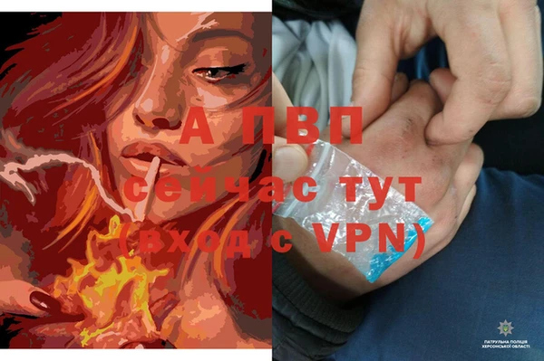 винт Осташков