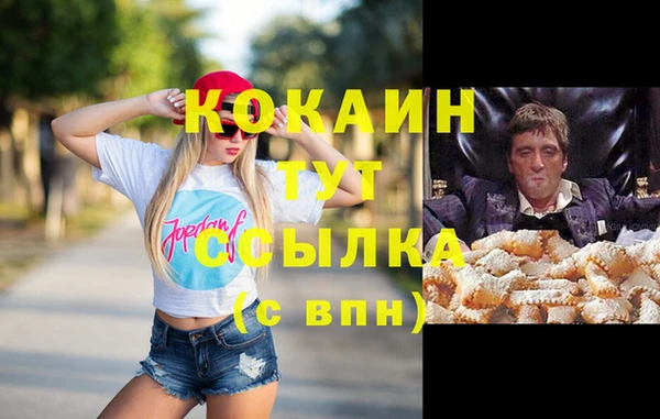 твердый Пересвет