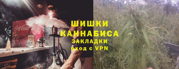 твердый Пересвет