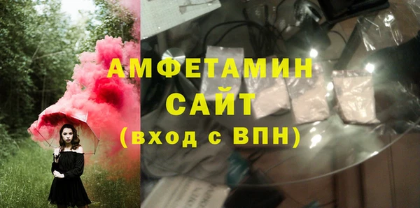 твердый Пересвет