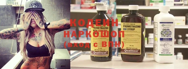2c-b Пестово