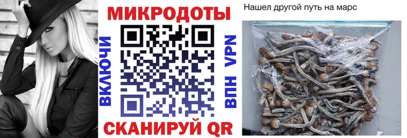 Галлюциногенные грибы Psilocybine cubensis  omg маркетплейс  Кировград  где можно купить наркотик 